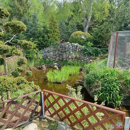 Domki Pod Lasem Mrzezyno Ngoại thất bức ảnh